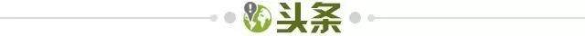 电竞赛事数据-【早报】一路创造历史！郑钦文首进WTA总决赛决赛！